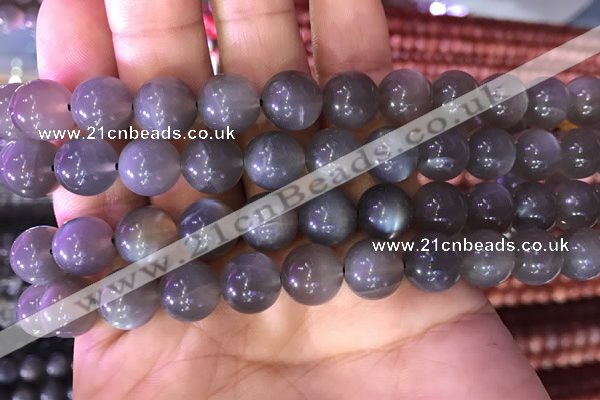 CMS1423 15.5 inches 10mm round black moonstone beads wholesale