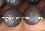 CMS1424 15.5 inches 12mm round black moonstone beads wholesale