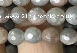 CMS1456 15.5 inches 6mm faceted round AB-color moonstone beads