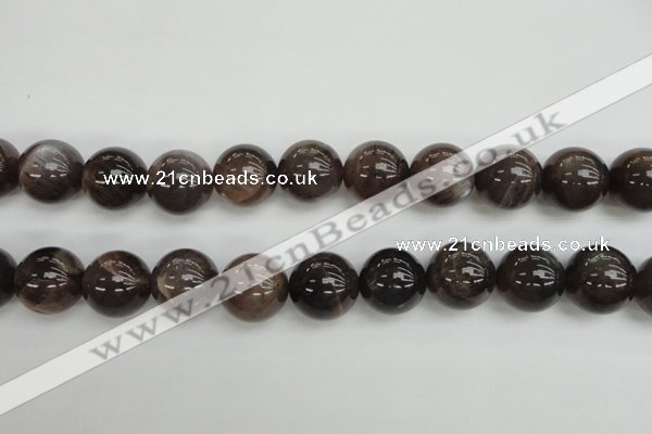 CMS147 15.5 inches 14mm round natural grey moonstone beads