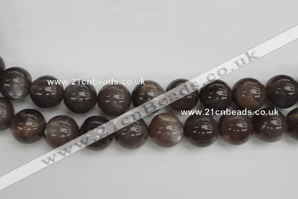 CMS149 15.5 inches 16mm round natural grey moonstone beads