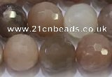 CMS1498 15.5 inches 10mmm faceted round rainbow moonstone beads