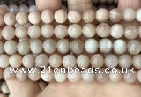 CMS1672 15.5 inches 8mm round moonstone beads wholesale