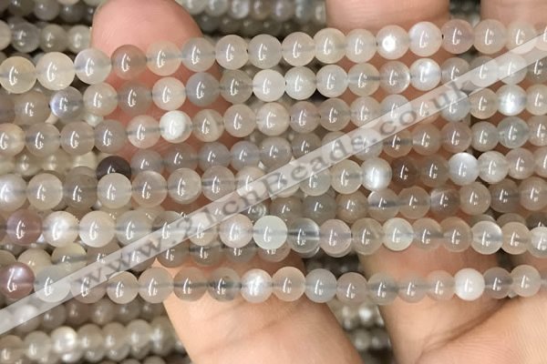 CMS1684 15.5 inches 4mm round rainbow moonstone beads wholesale