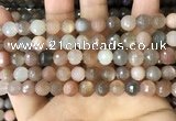 CMS1693 15.5 inches 8mm faceted round rainbow moonstone beads