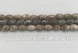 CMS1775 15.5 inches 8*12mm faceted rice AB-color moonstone beads