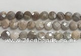 CMS1790 15.5 inches 12mm faceted coin AB-color moonstone beads