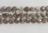 CMS1791 15.5 inches 14mm faceted coin AB-color moonstone beads