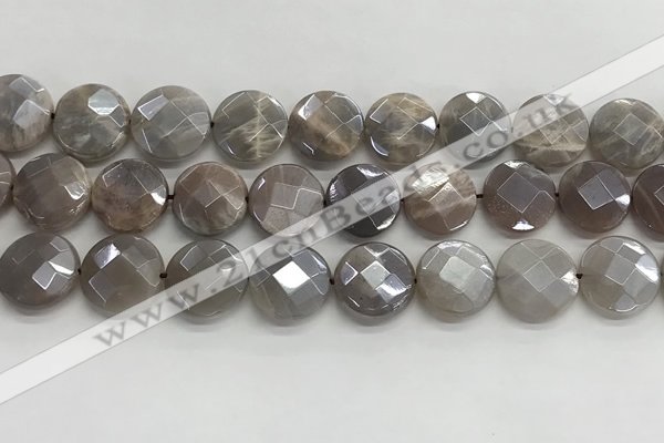 CMS1792 15.5 inches 16mm faceted coin AB-color moonstone beads