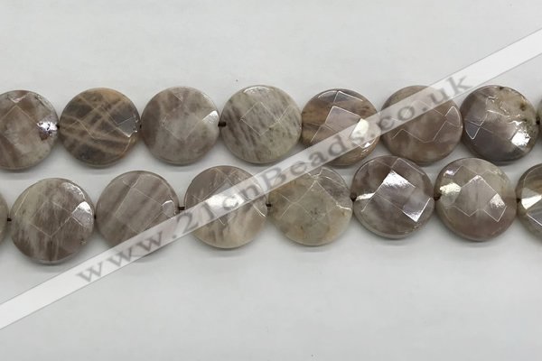 CMS1794 15.5 inches 20mm faceted coin AB-color moonstone beads