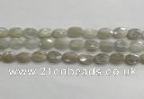 CMS1806 15.5 inches 8*12mm faceted oval AB-color moonstone beads