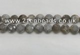 CMS1819 15.5 inches 14mm faceted coin AB-color moonstone beads