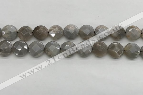 CMS1819 15.5 inches 14mm faceted coin AB-color moonstone beads