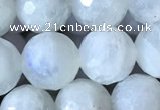 CMS1862 15.5 inches 10mm faceted round white moonstone gemstone beads