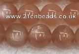 CMS1898 15.5 inches 10mm round moonstone gemstone beads