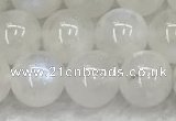 CMS1903 15.5 inches 10mm round white moonstone gemstone beads