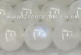 CMS1904 15.5 inches 12mm round white moonstone gemstone beads