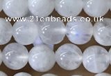 CMS1921 15.5 inches 6mm round white moonstone gemstone beads