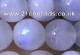 CMS1923 15.5 inches 10mm round white moonstone gemstone beads