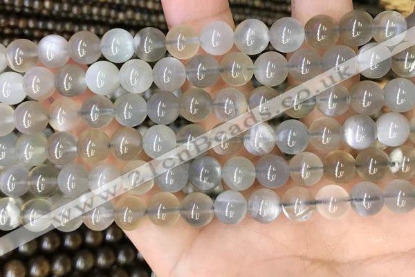 CMS1942 15.5 inches 8mm round grey moonstone beads wholesale