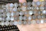 CMS1943 15.5 inches 10mm round grey moonstone beads wholesale