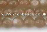 CMS1956 15.5 inches 5mm round natural moonstone gemstone beads