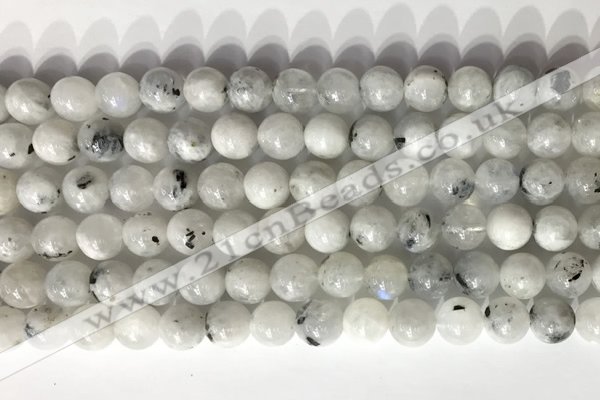 CMS2001 15.5 inches 8mm round white moonstone gemstone beads