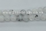 CMS201 15.5 inches 6mm round moonstone gemstone beads wholesale