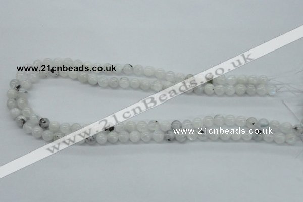 CMS201 15.5 inches 6mm round moonstone gemstone beads wholesale