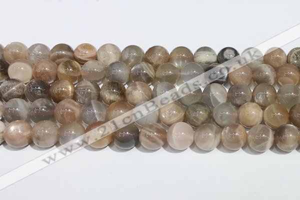 CMS2012 15.5 inches 10mm round moonstone gemstone beads