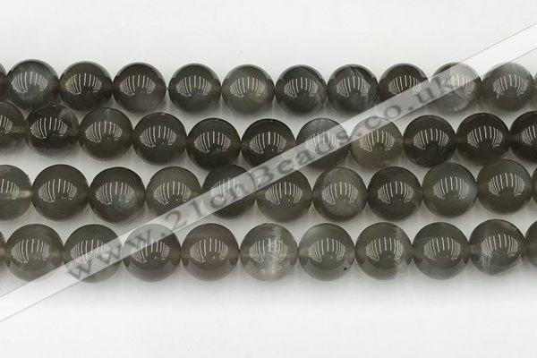 CMS2023 15.5 inches 12mm round black moonstone beads wholesale