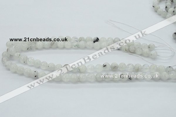 CMS203 15.5 inches 9mm round moonstone gemstone beads wholesale