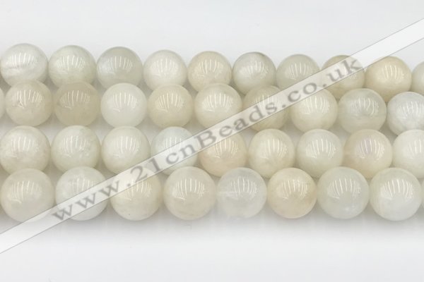 CMS2031 15.5 inches 14mm round white moonstone beads wholesale