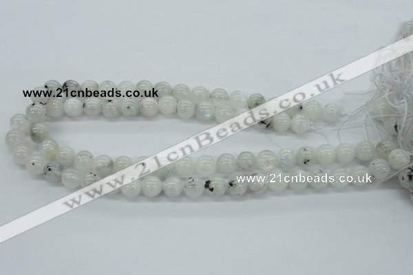 CMS205 15.5 inches 11mm round moonstone gemstone beads wholesale