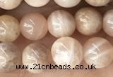 CMS2054 15.5 inches 6mm round moonstone gemstone beads
