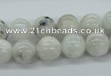 CMS206 15.5 inches 12mm round moonstone gemstone beads wholesale