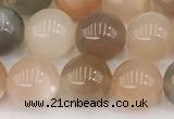 CMS2071 15 inches 8mm round moonstone gemstone beads