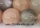CMS2073 15 inches 12mm round moonstone gemstone beads