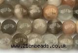 CMS2085 15 inches 5mm round moonstone gemstone beads