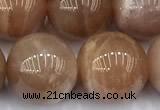 CMS2115 15 inches 12mm round moonstone beads