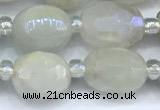 CMS2130 15 inches 8*10mm - 9*12mm faceted nuggets AB-color moonstone beads