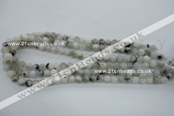 CMS216 15.5 inches 8mm round white moonstone gemstone beads