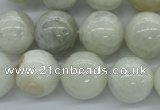 CMS217 15.5 inches 16mm round white moonstone gemstone beads