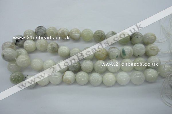 CMS217 15.5 inches 16mm round white moonstone gemstone beads