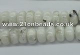 CMS218 15.5 inches 6*10mm rondelle white moonstone gemstone beads