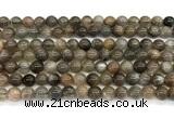 CMS2287 15 inches 6mm round grey moonstone beads wholesale