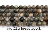 CMS2289 15 inches 10mm round grey moonstone beads wholesale