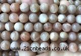 CMS2357 15 inches 10mm round moonstone beads wholesale