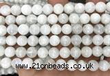 CMS2368 15 inches 8mm round white moonstone beads wholesale