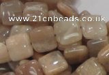 CMS29 15.5 inches 10*10mm square moonstone gemstone beads wholesale